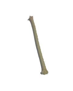Academy Spare Wick, Pack of 10