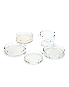 Corning 3261 Tissue Culture Dishes, 60X15mm, Ultra-Low Attachment, 20 per Pack